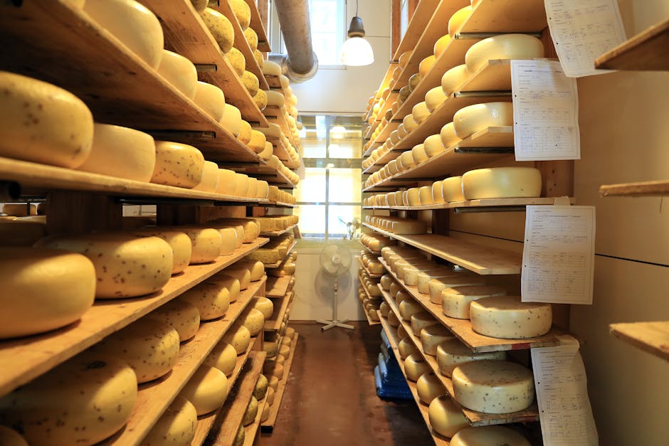 Ambachtelijke boerenkaas online bestellen bij Cheese In A Box