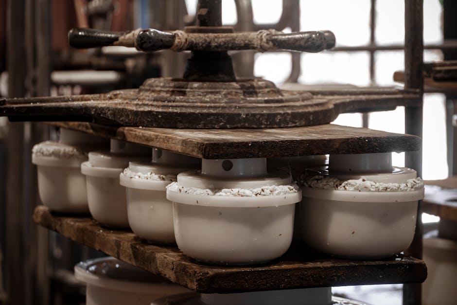 Boerenkaas maken: traditioneel kaasproductieproces op de boerderij