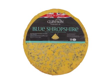 Blue Shropshire
