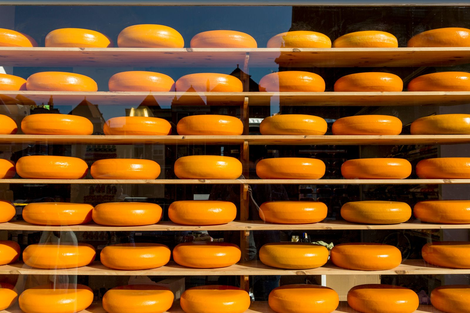 Hollandse kaaswielen op houten schappen, typerend voor komijnekaas en Goudse rijping