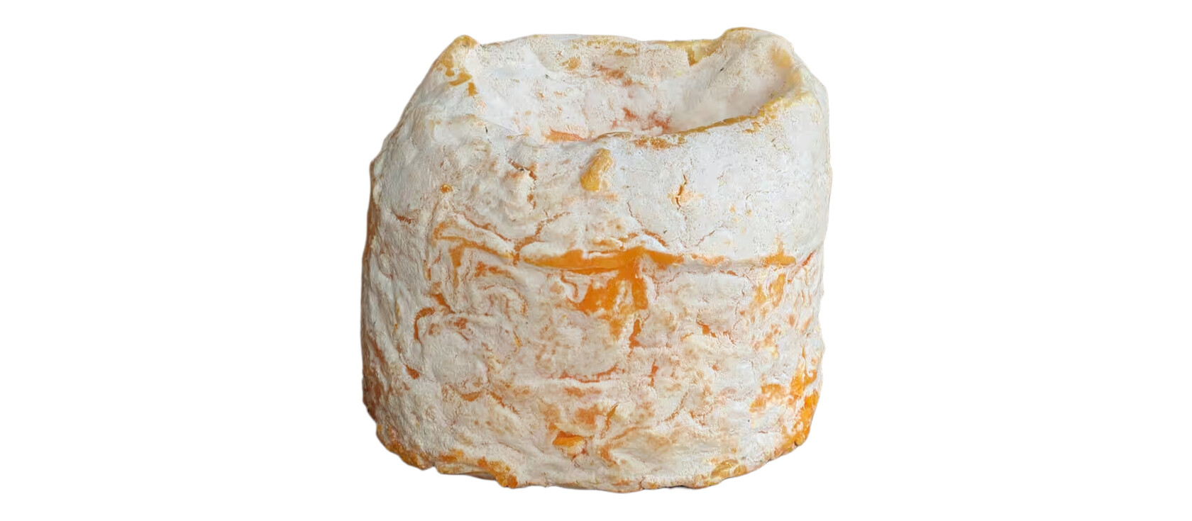 Langres kaas op witte achtergrond