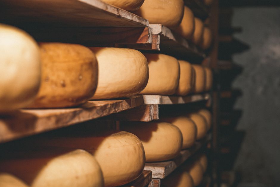Rijpende oude kaas wielen op houten planken in een traditionele kaaskelder